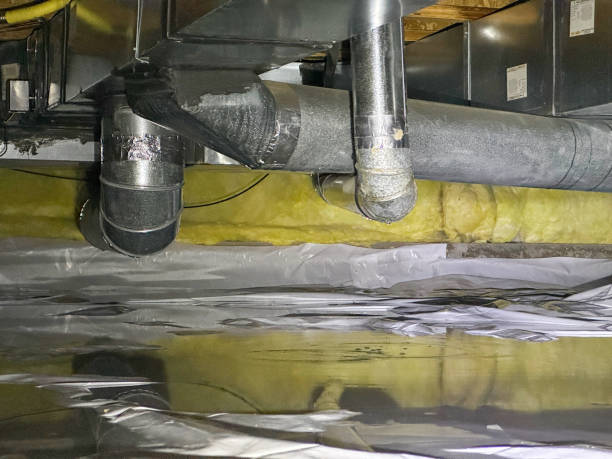 Best Ceiling water damage repair  in Elizabethtown, NC