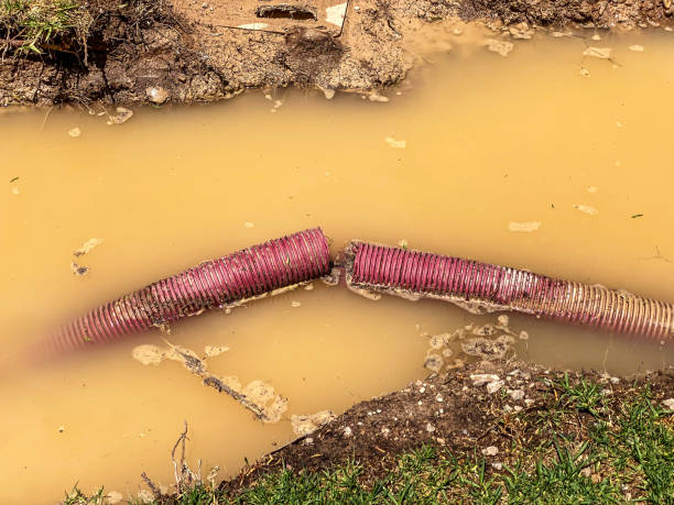 Best Water damage restoration near me  in Elizabethtown, NC