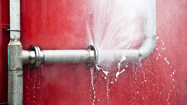 Best Basement water damage restoration  in Elizabethtown, NC